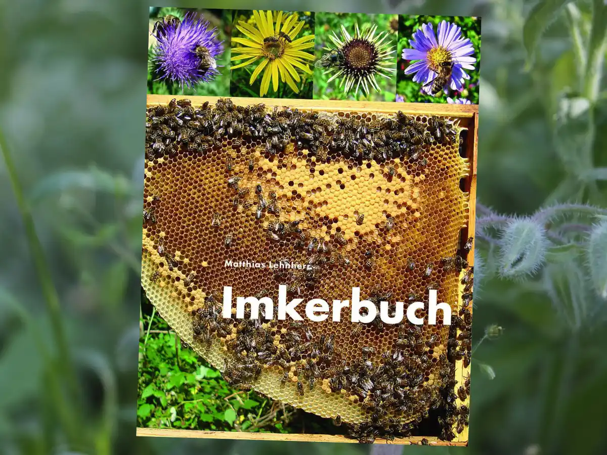Mellifera e. V. – Initiativen für #BieneMenschNatur post