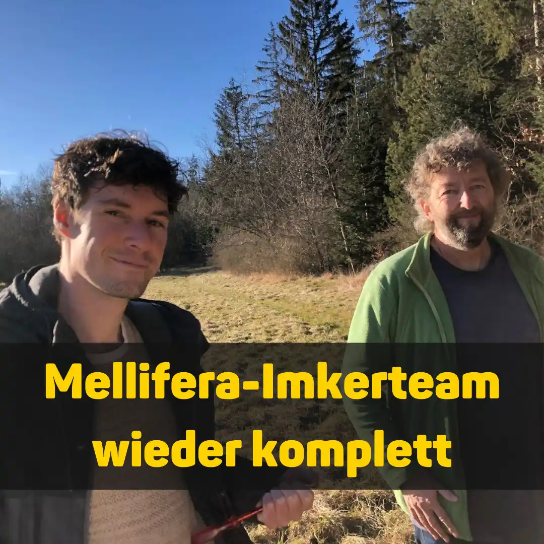 Mellifera e. V. – Initiativen für #BieneMenschNatur post