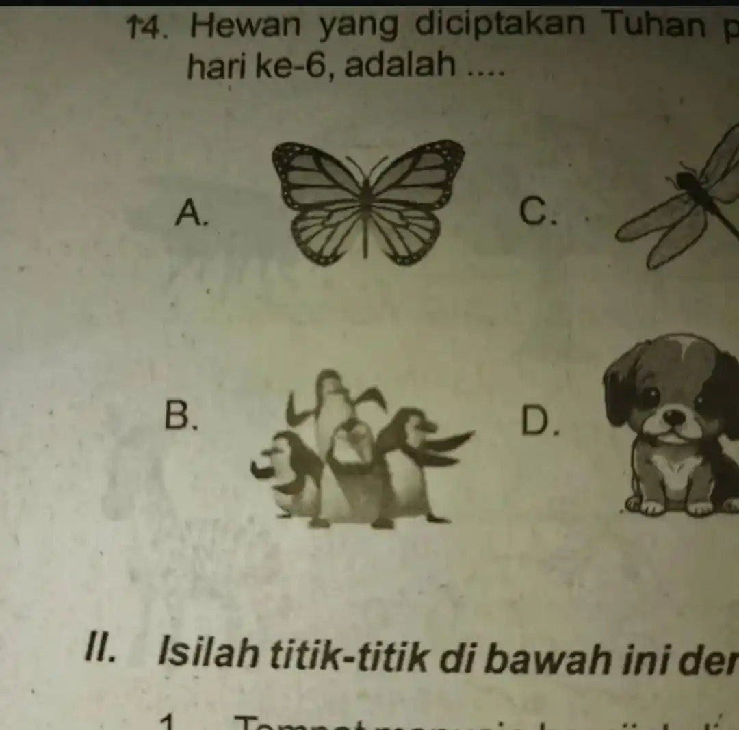 Meme Indonesia From Oyen post