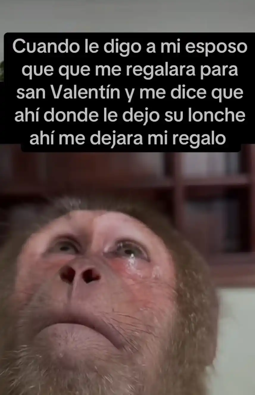 Mensajes para tu esencia post