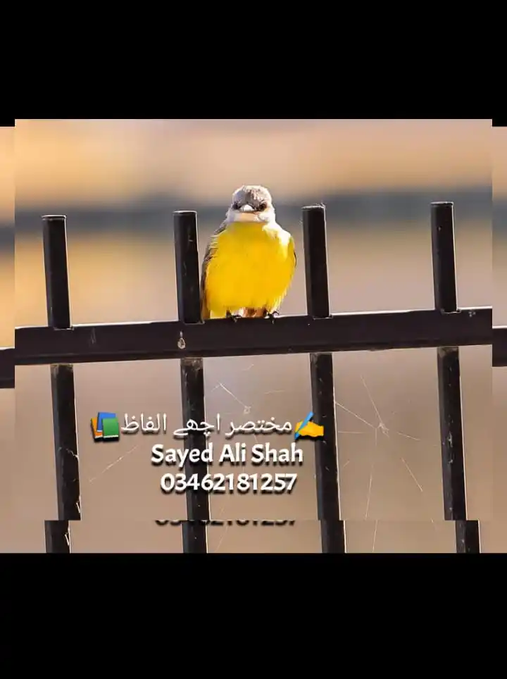 ✍️مختصر اچھے الفاظ📚 post