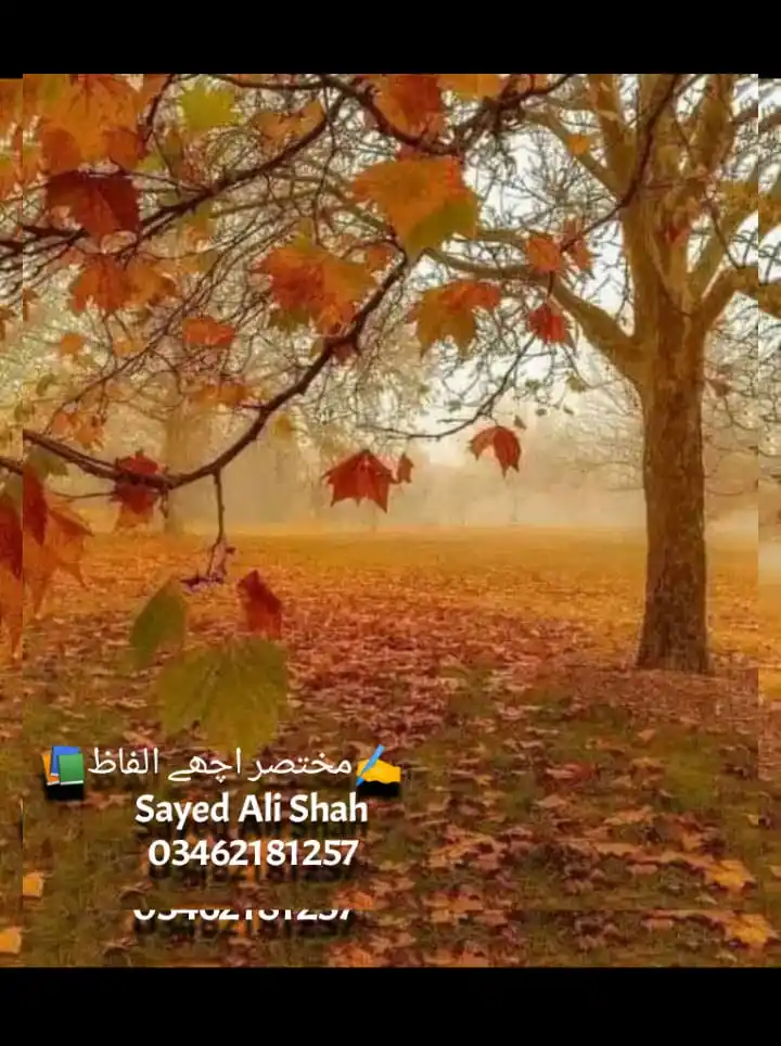 ✍️مختصر اچھے الفاظ📚 post