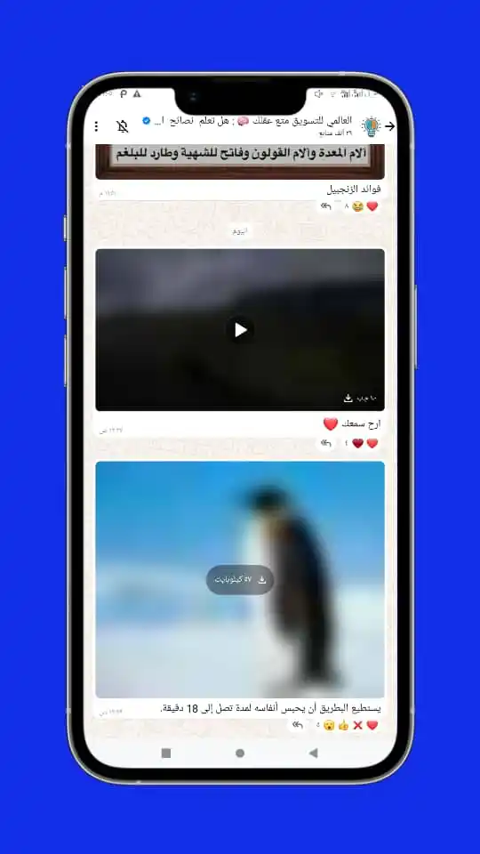 مؤسسة العالمي للتسويق والتطوير ومعلومات تقنية Yemen post