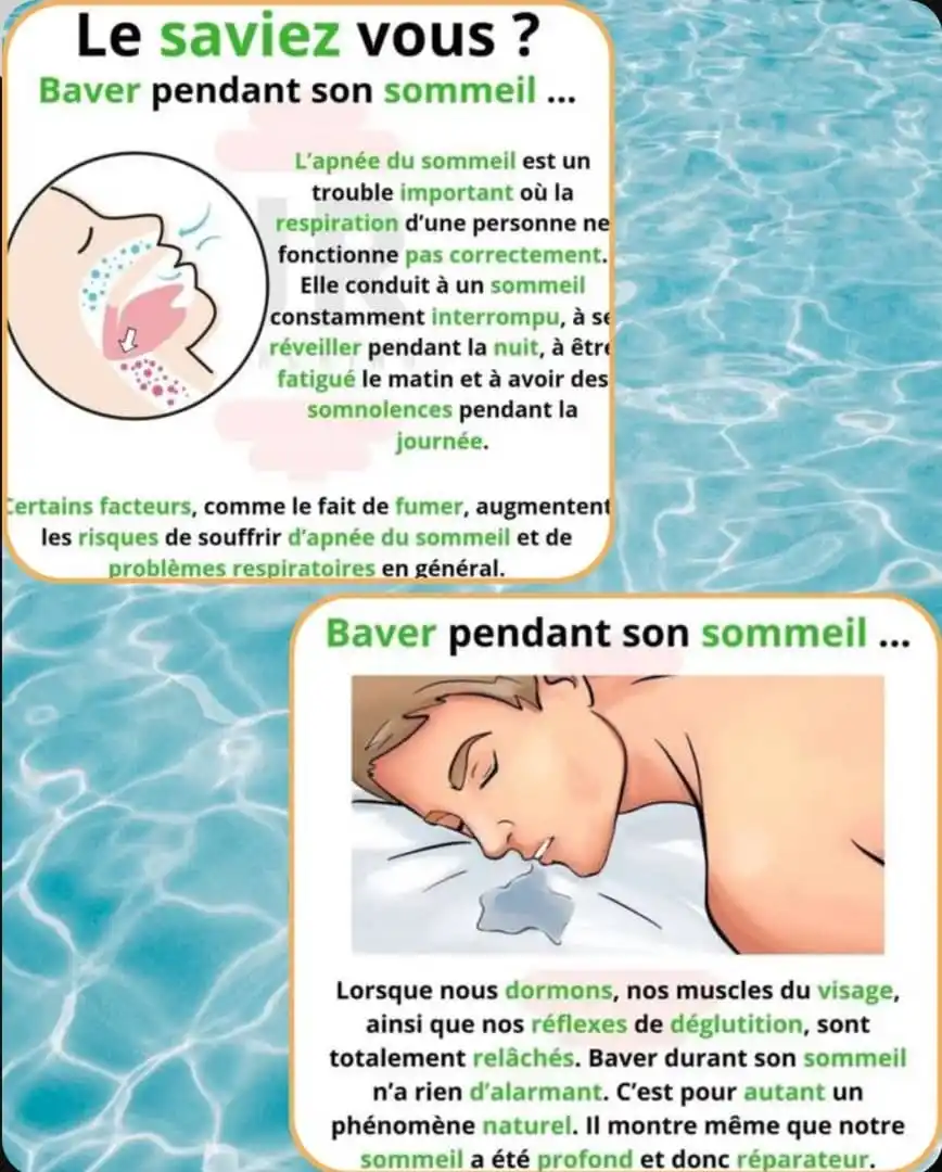 Motivation Et Connaissances Plus post
