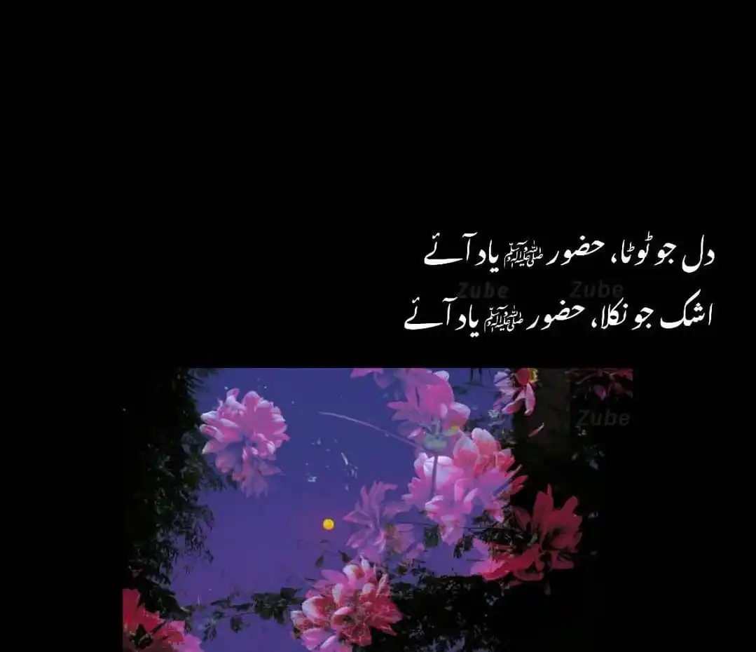 Muhammad Rihan Raza Mustafai post