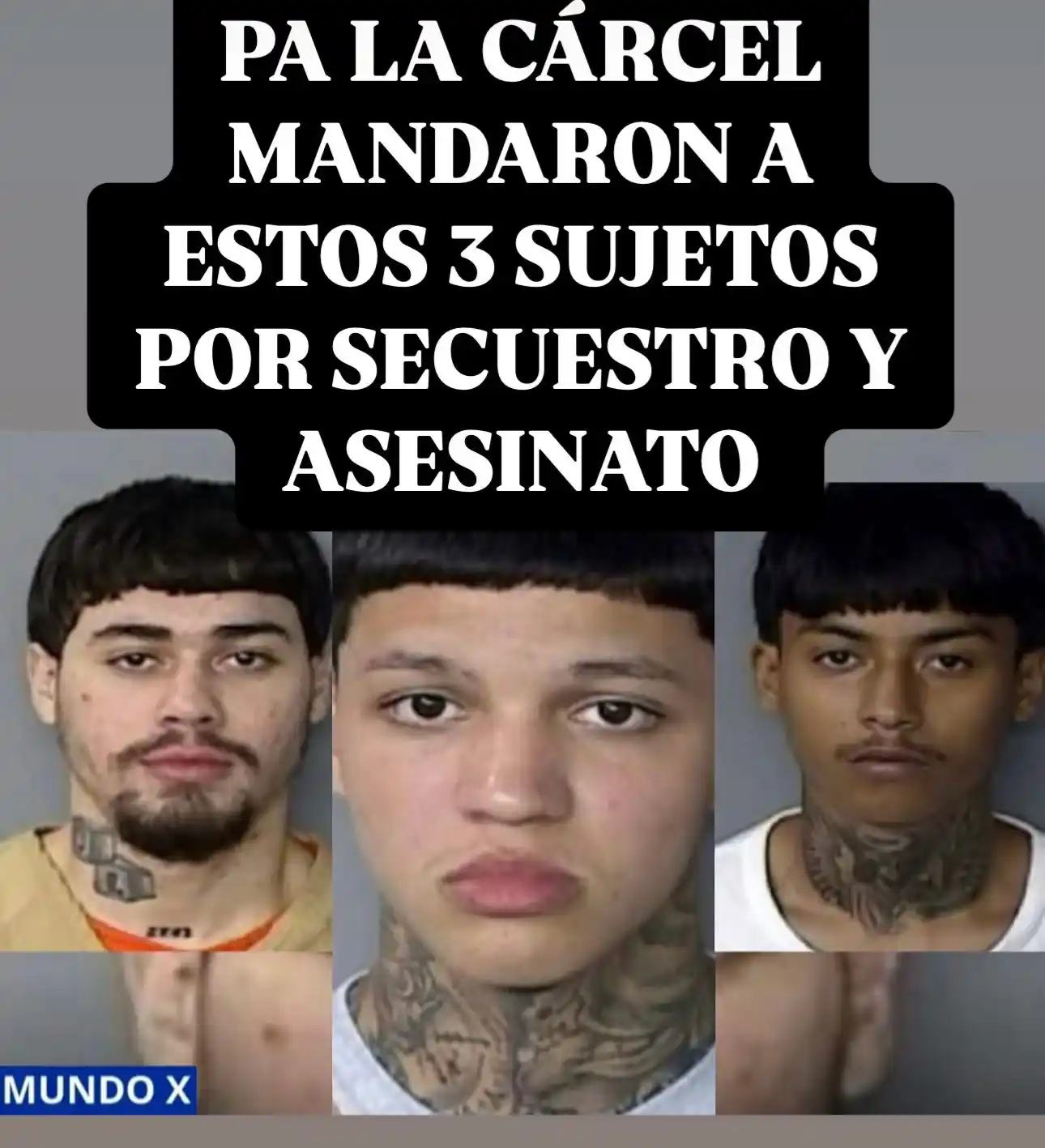 Image from Mundox news : estás en mundo x news donde podrás encontrar todas las noticias de la...