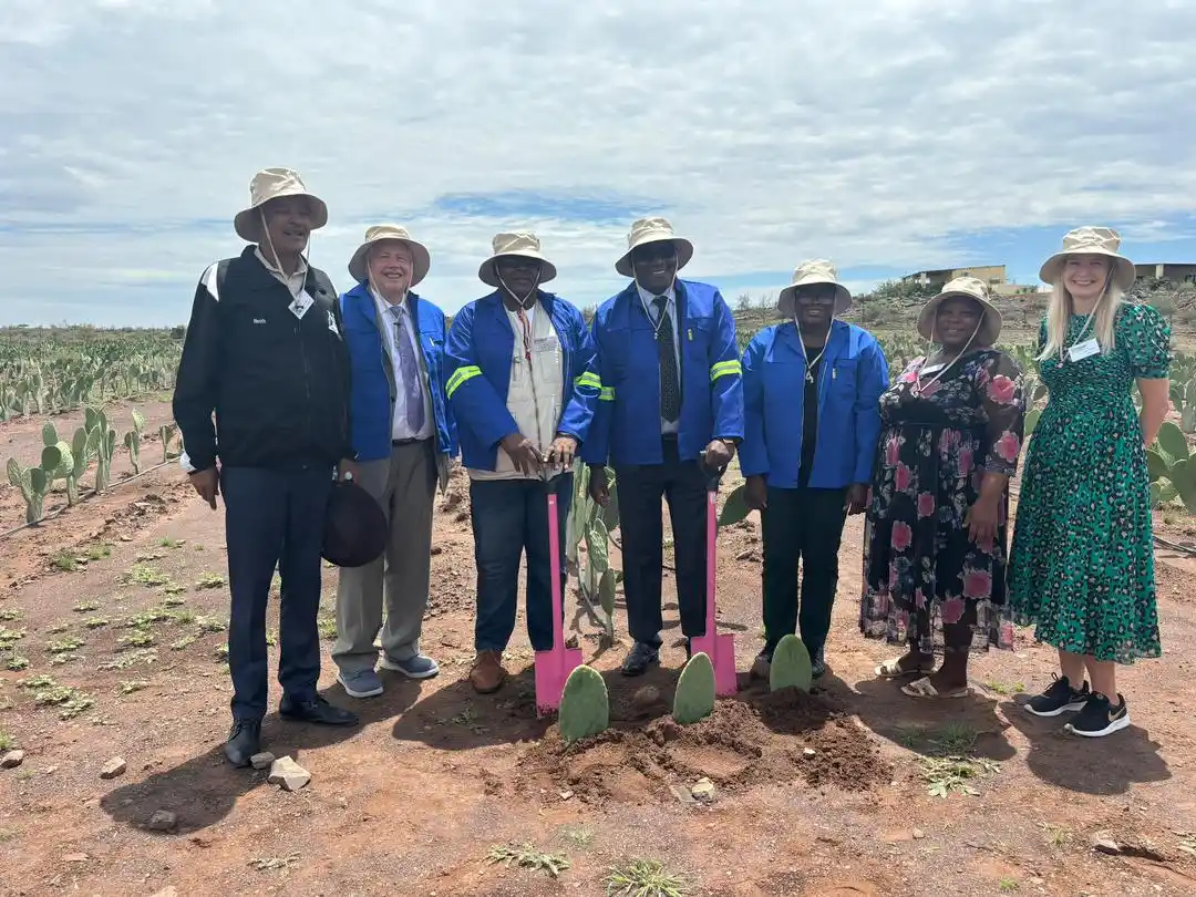 Namibia Investment Promotion And Development Board (NIPDB) post