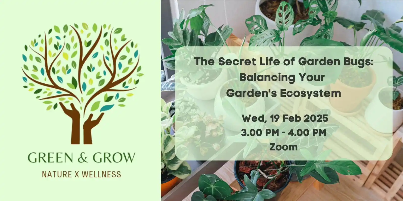 NLB - Time of Your Life post