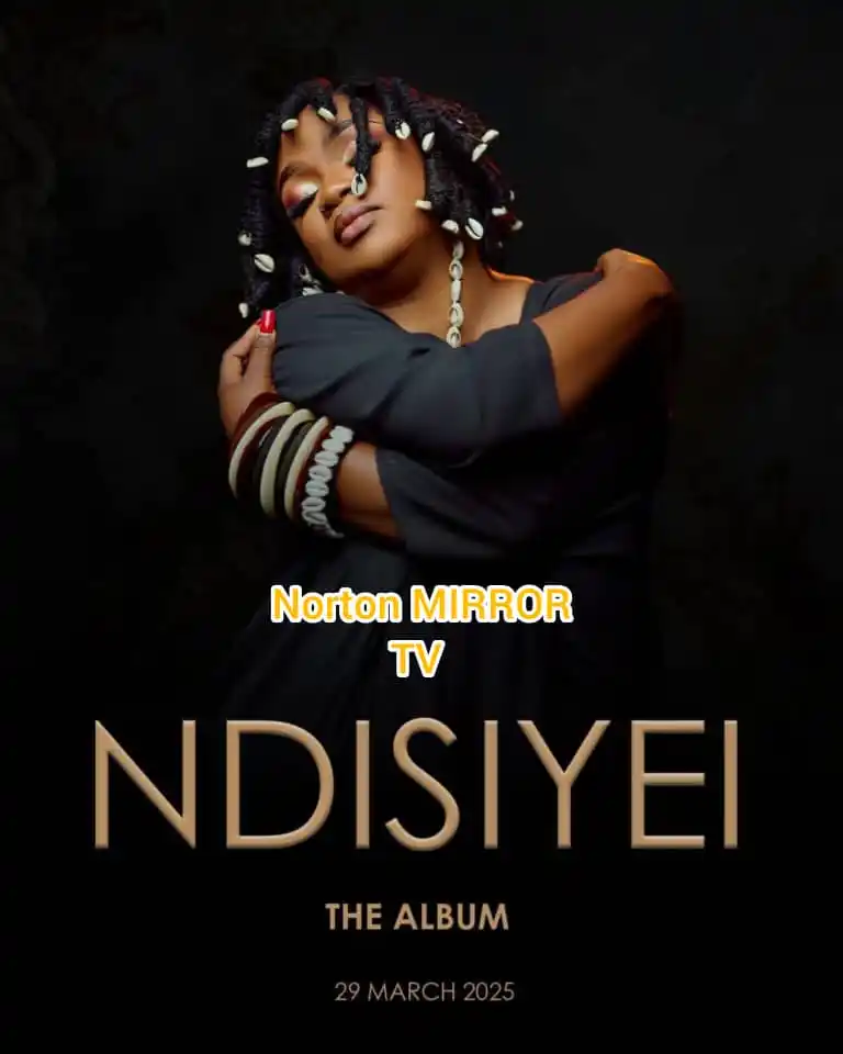 Norton Mirror TV post