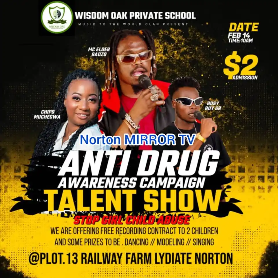 Norton Mirror TV post