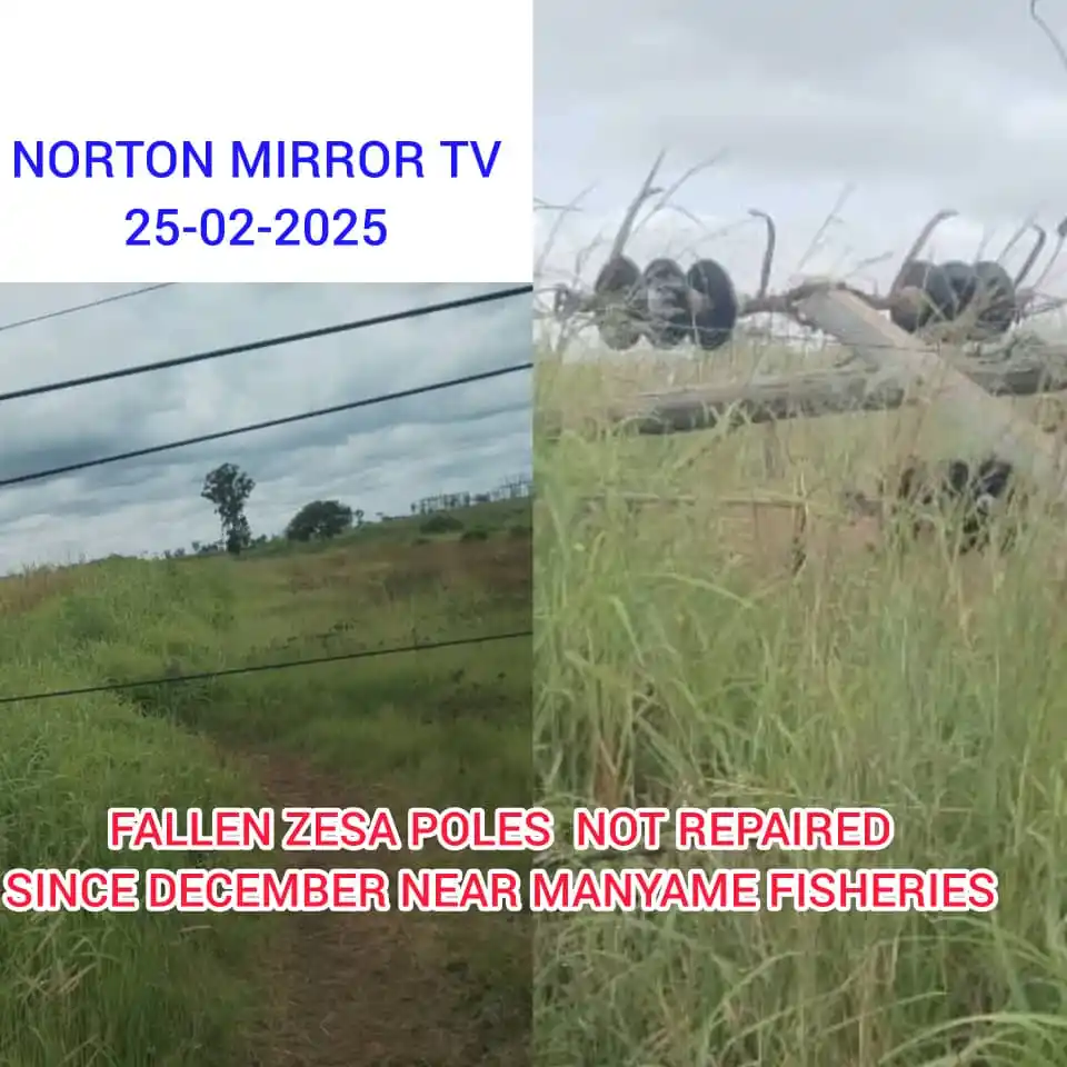 Image from Norton Mirror TV: *OVERDUE REPAIRS: Fallen ZESA Poles Pose Danger to Norton Community* ...