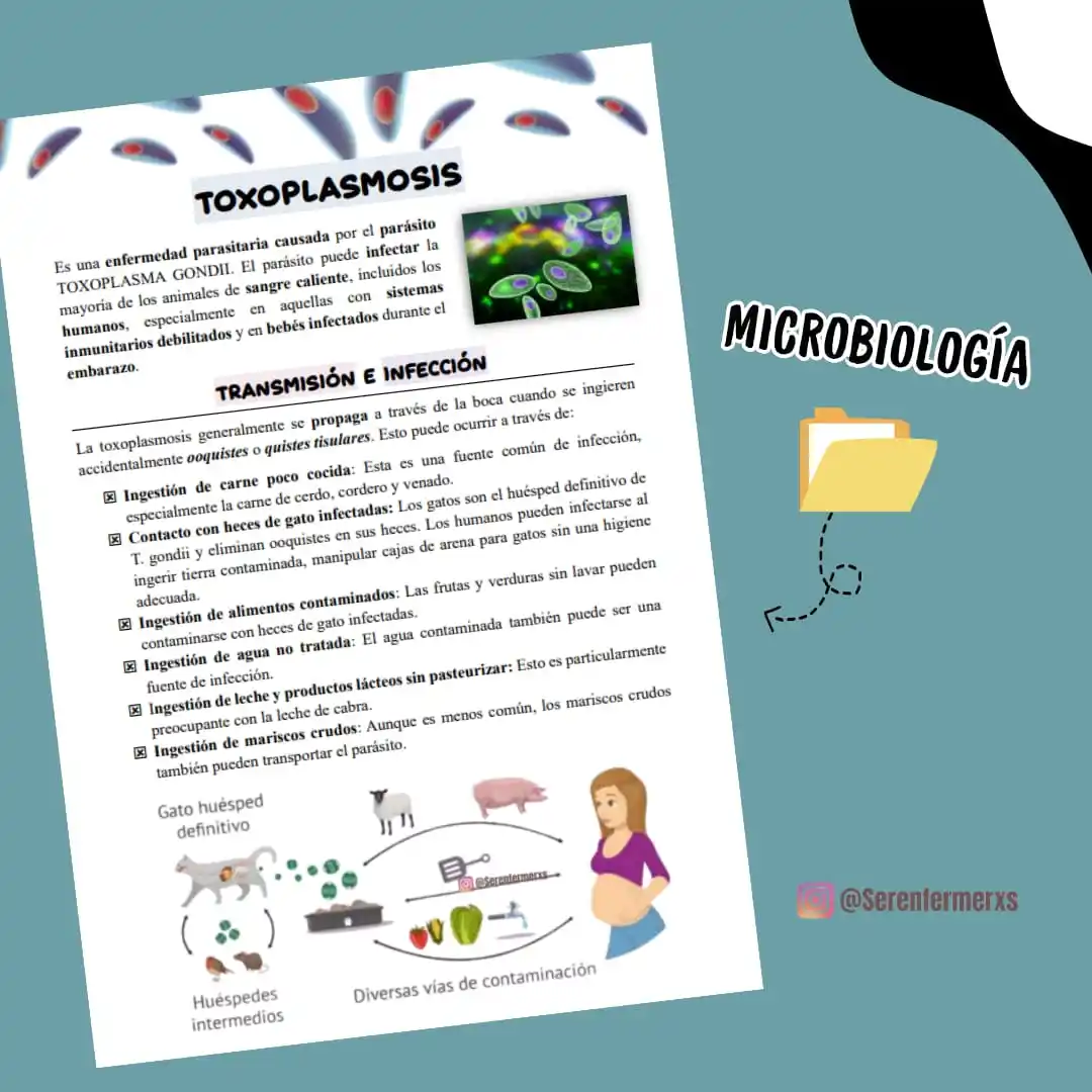 NOVEDADES SER ENFERMERXS 👩🏻‍⚕️ post