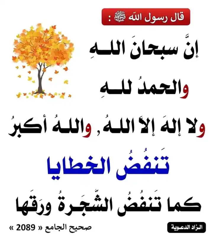 نُورُ الْإِيمَان 💛🌻 post