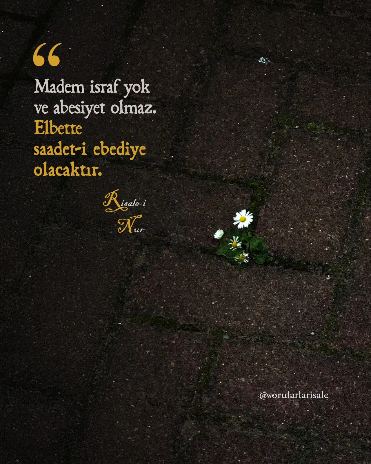 Nur penceresi & Sorularla Risale (Resmi) post