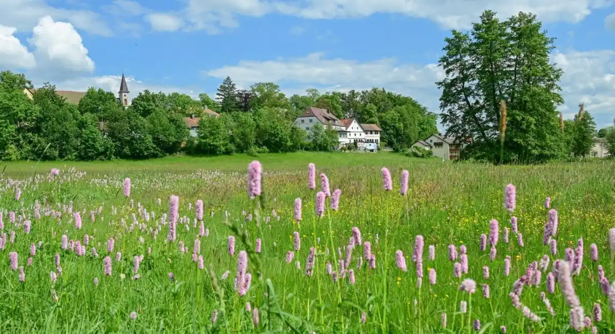 Image from OberpfalzECHO: *Das mehrfach ausgezeichnete Friedenfels: Wenn ein Ort gemeinsam anpac...