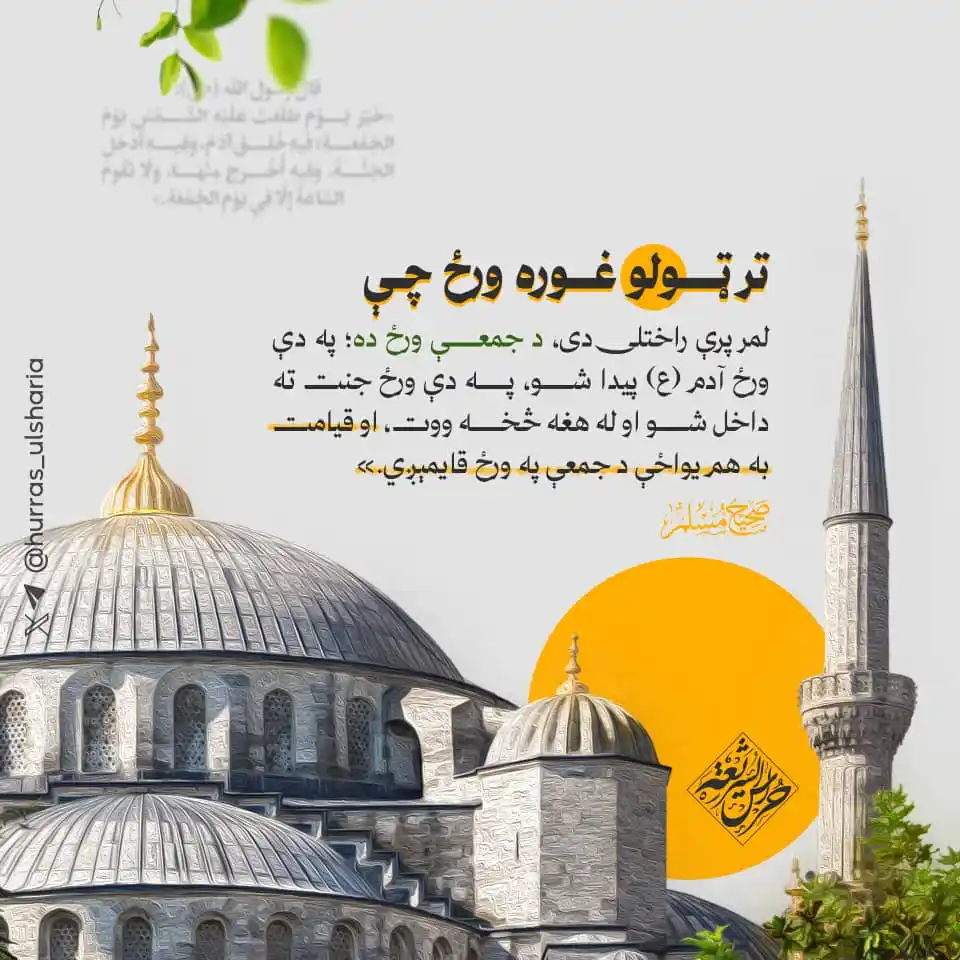 تقوا لرونکي انسانان post