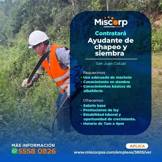 Oportunidad De Empleo post
