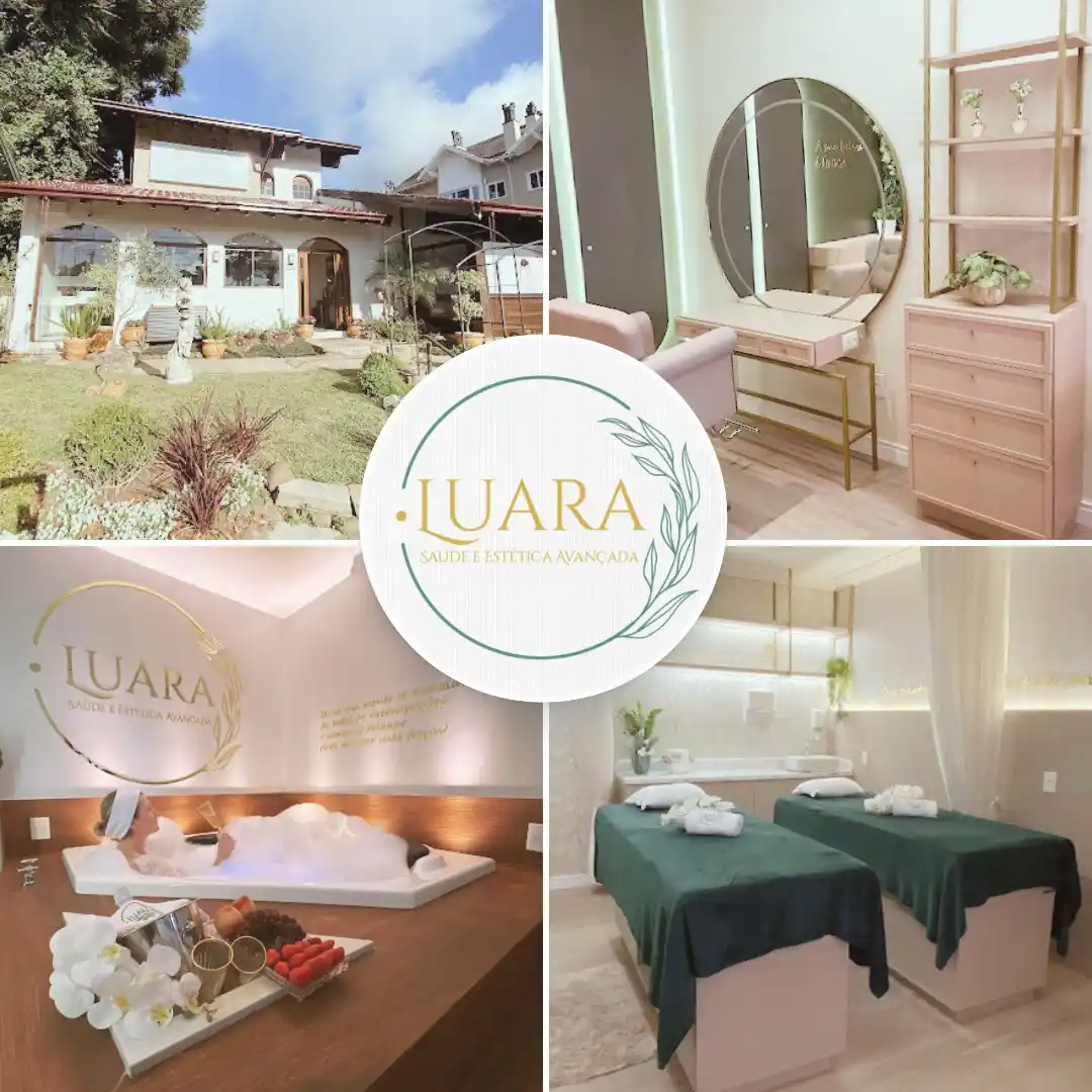 Portal da Folha de Canela post