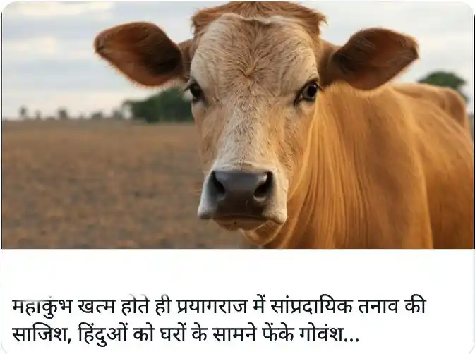 Image from Prachin Akhand Bharat (प्राचीन अखंड भारत): महाकुंभ खत्म होते ही प्रयागराज में माहौल बिगाड़ने का प्रयास, हिंदुओं क...