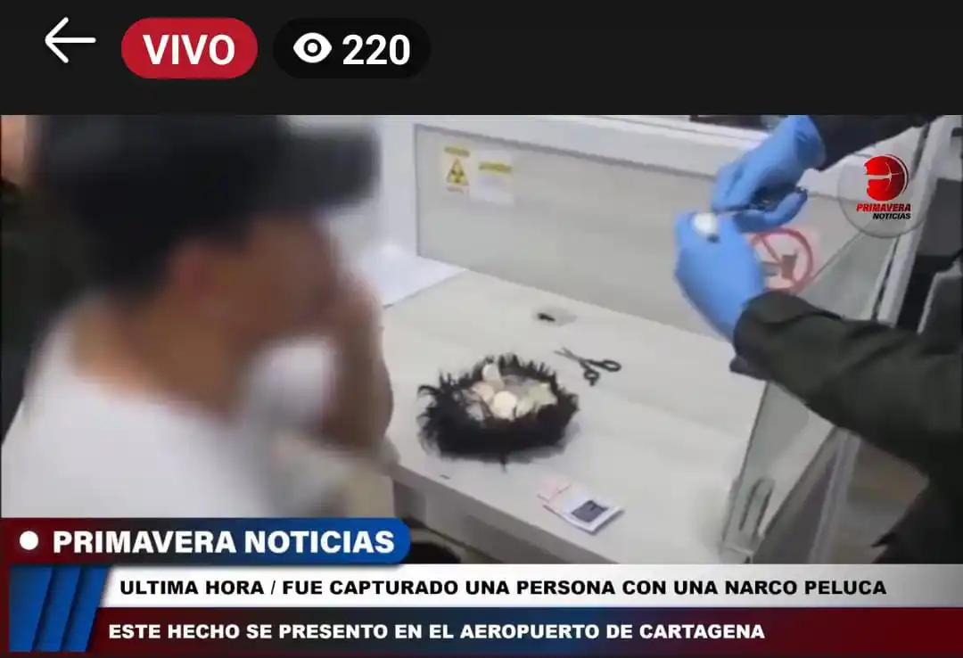 Image from PRIMAVERA NOTICIAS: https://www.facebook.com/share/v/14sSmFN3n8a/ <a class="text-blue-500 ...