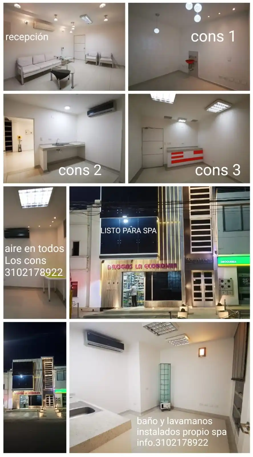 PRIMAVERA NOTICIAS post