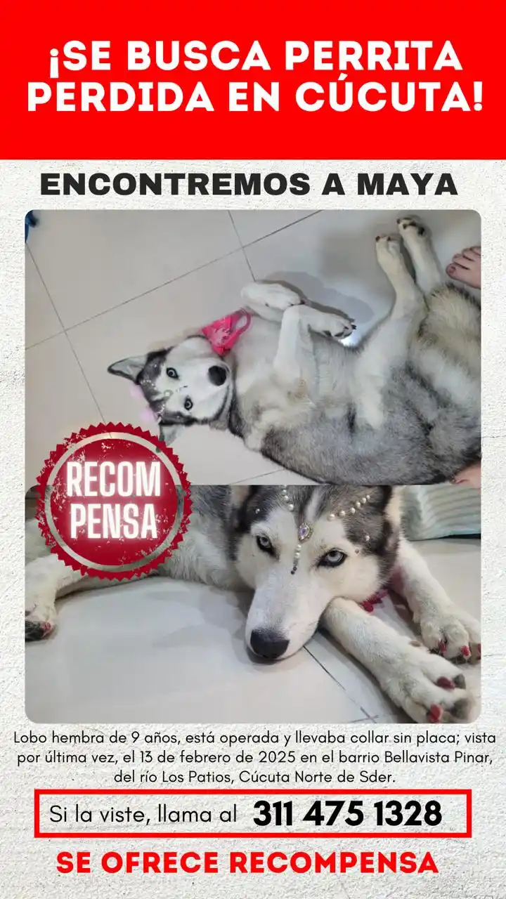 PRIMAVERA NOTICIAS post