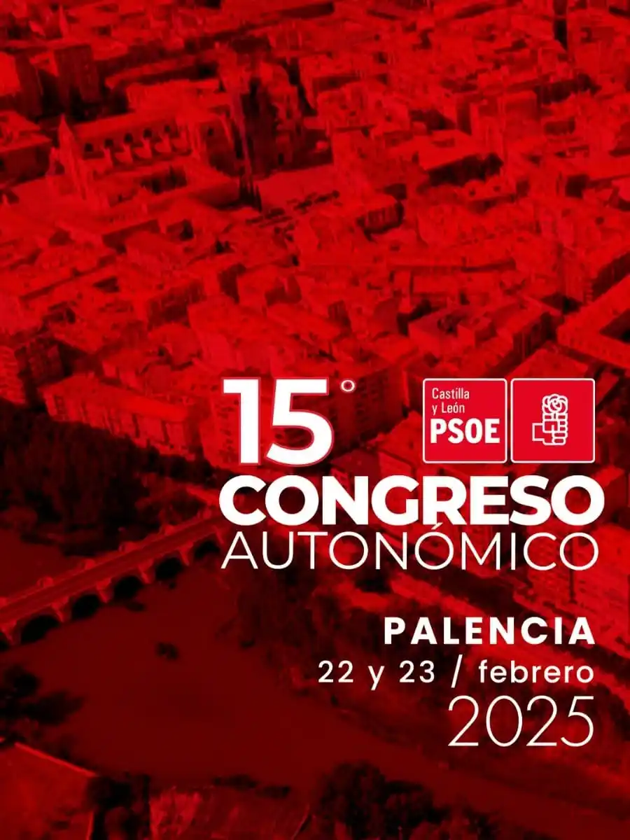 PSOE Castilla y León post