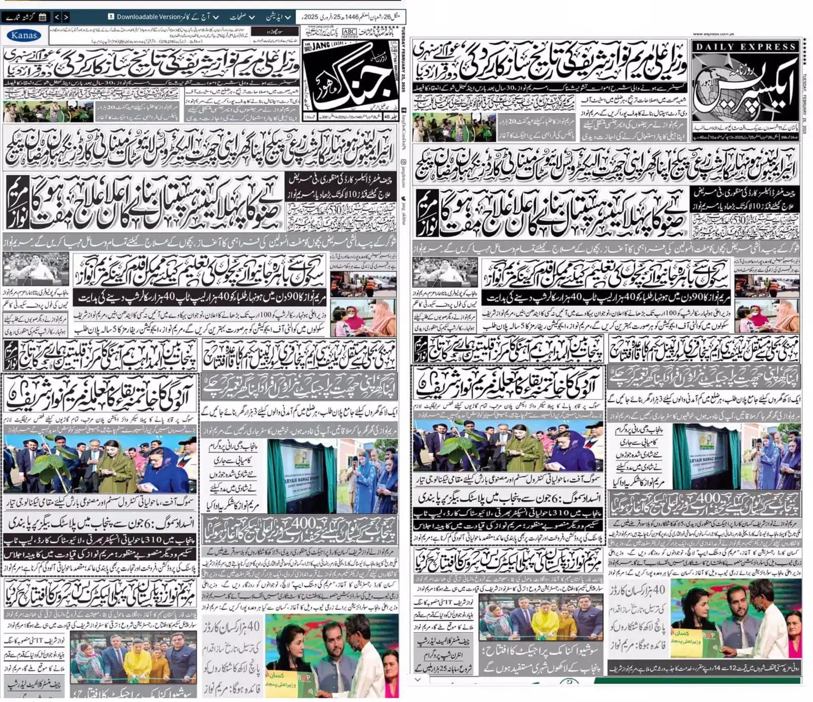 PTI West Punjab post