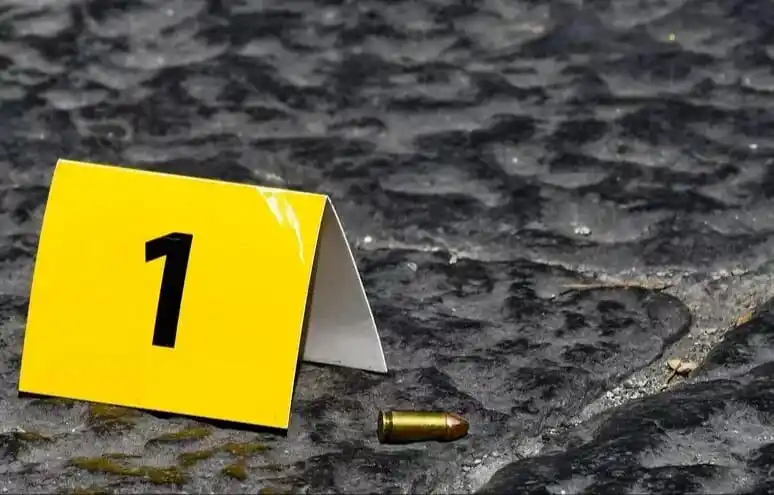 Punto Agro News post