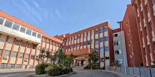 Punto Agro News post