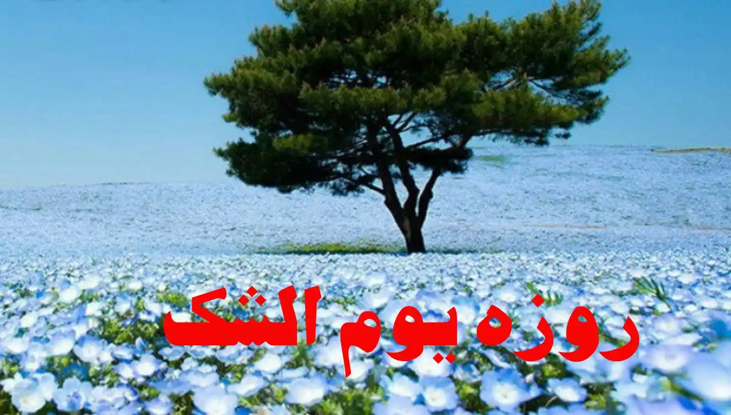 ┈•••❈﴿ راه فلاح ﴾❈•••┈ post