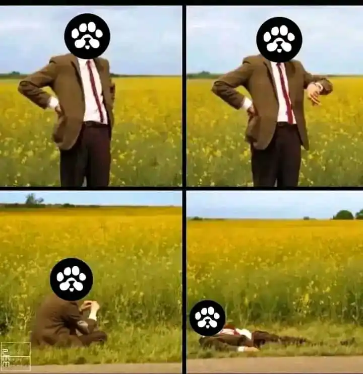 Real Directad CEO😎Crypto Basic 💰💰 post