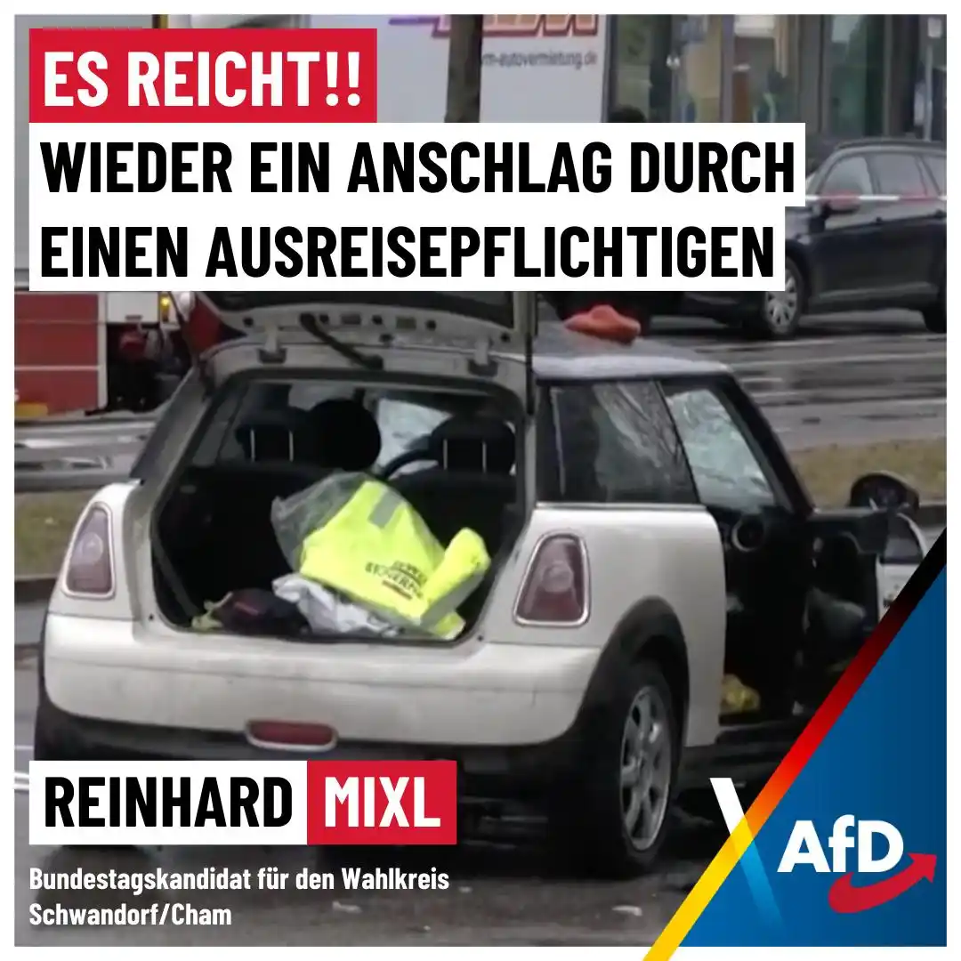 Reinhard Mixl - AfD post