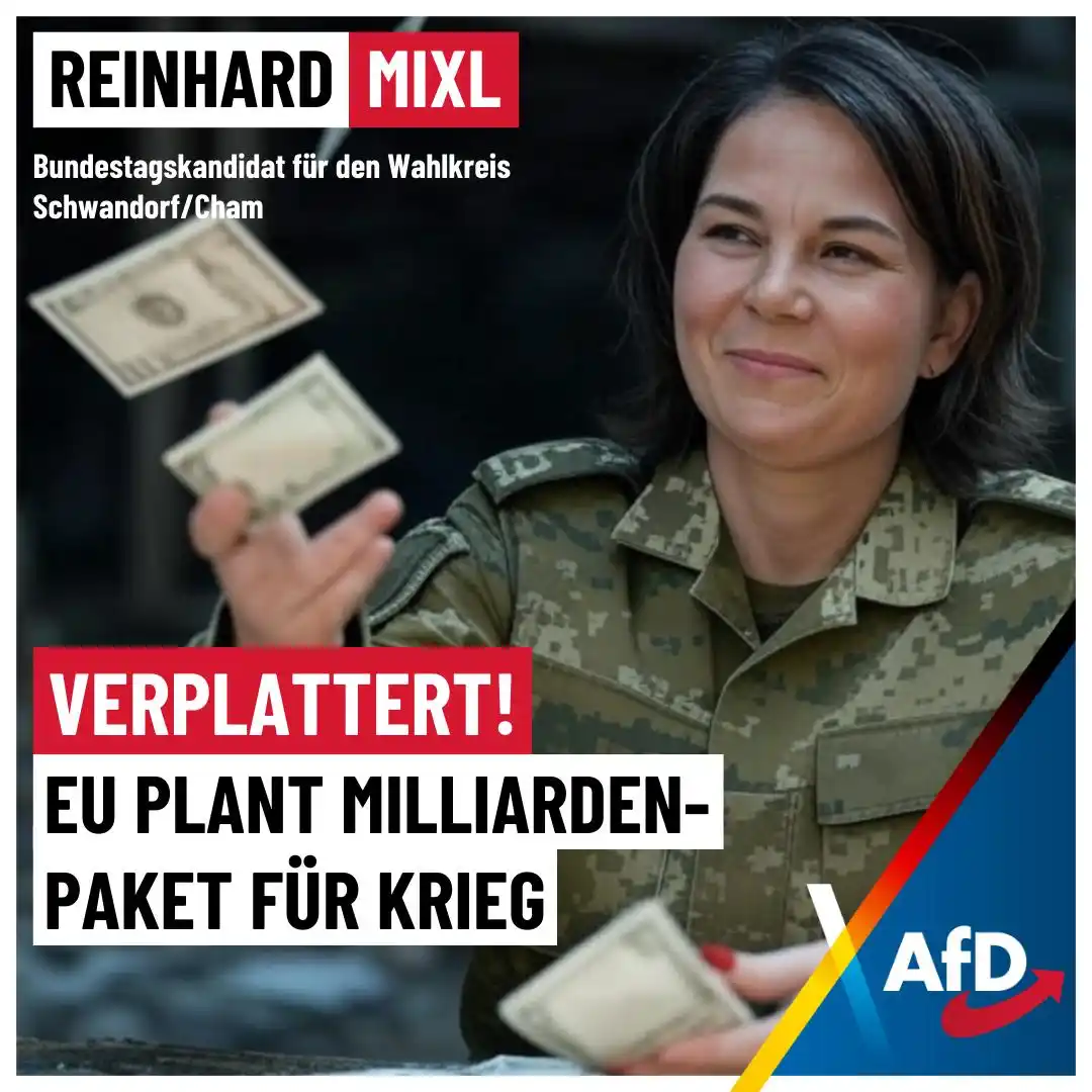 Reinhard Mixl - AfD post
