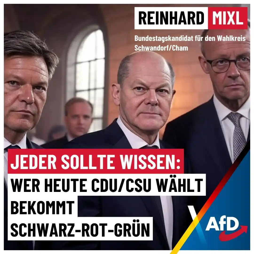 Reinhard Mixl - AfD post