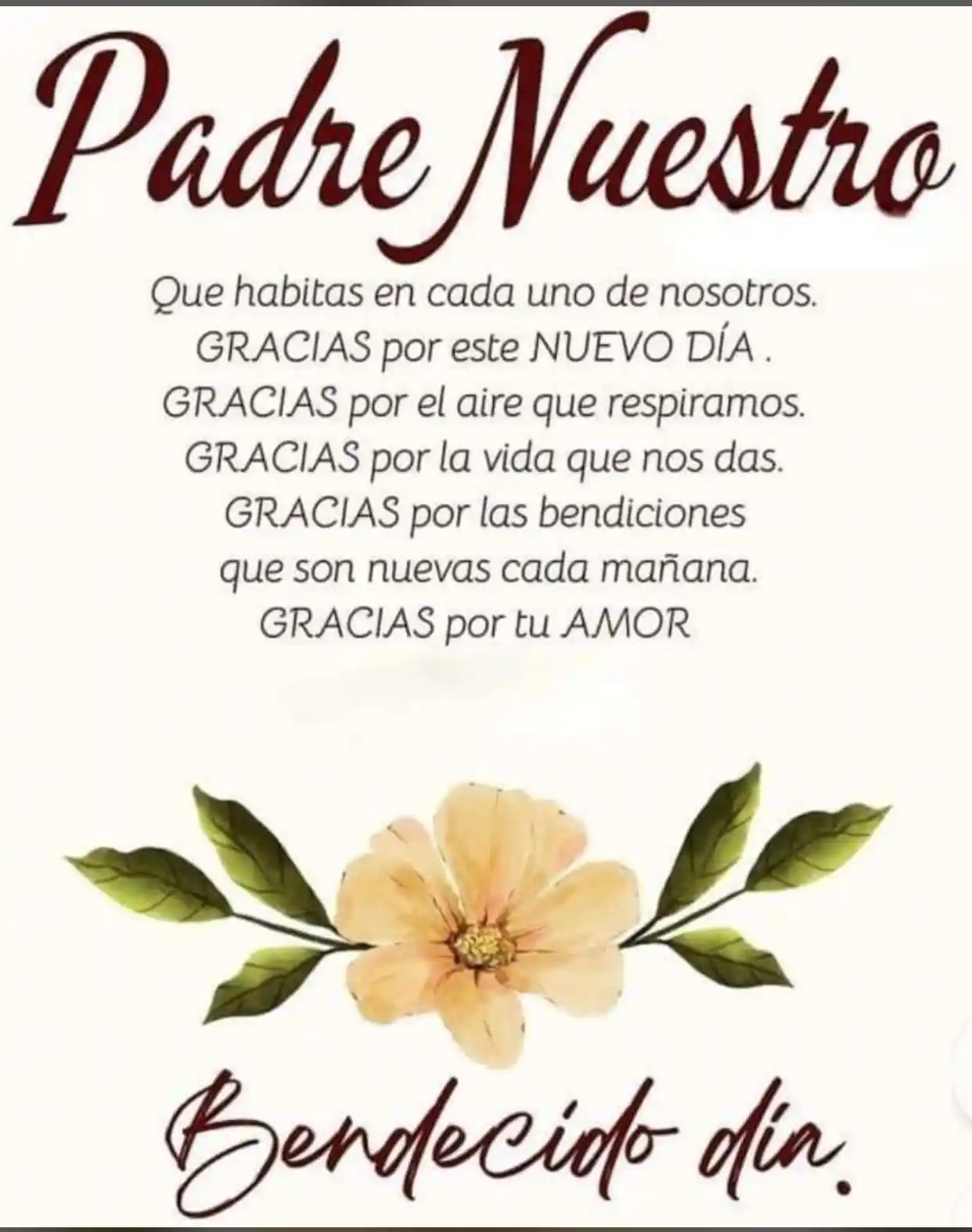 RenovaCris post