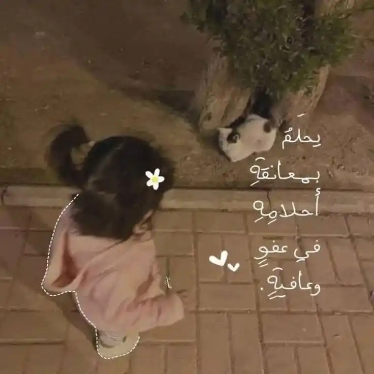 رحـيـل💙🦋 post
