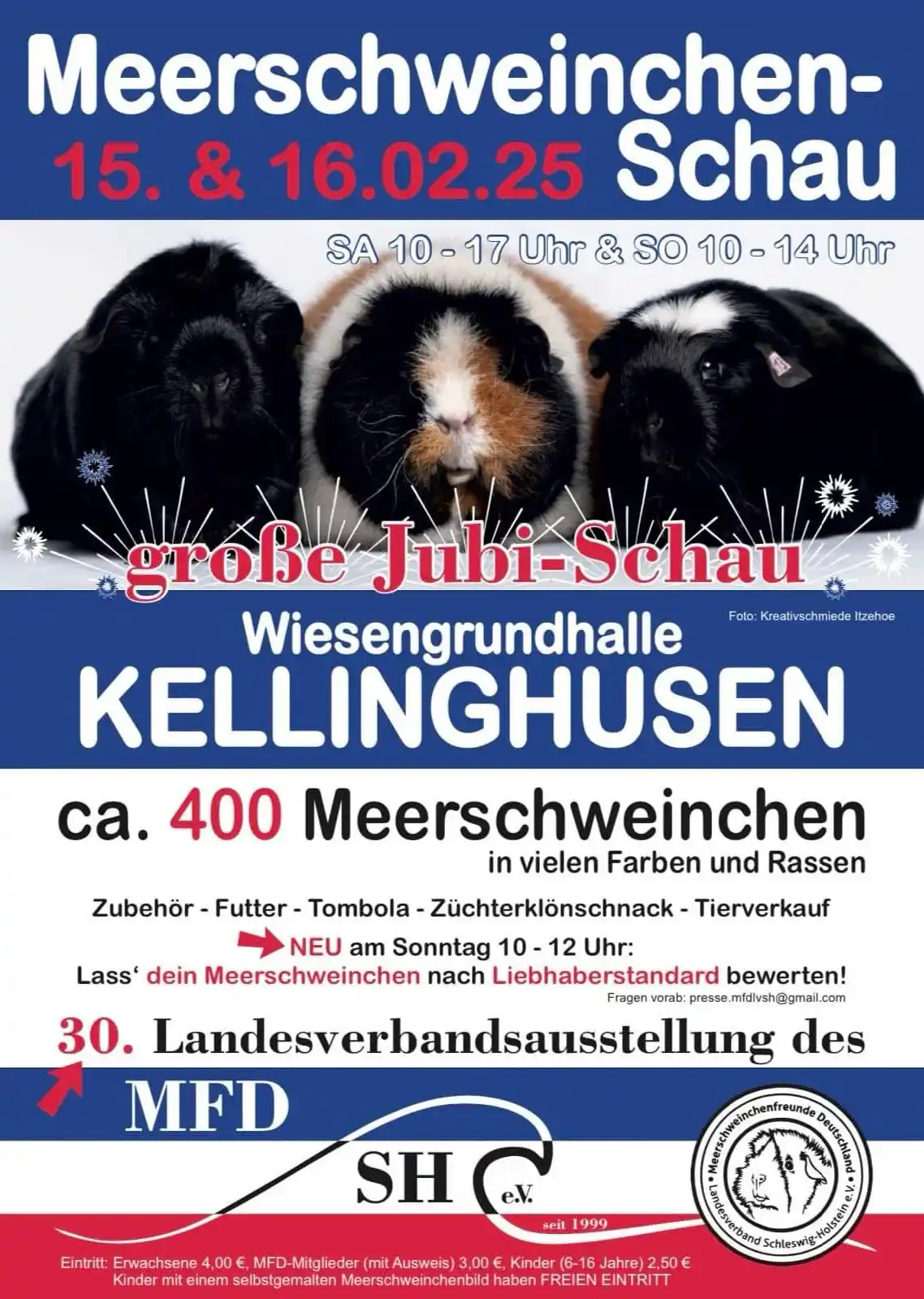 RMZ aus dem Marschenland - Meerschweinchen aus Schleswig-Holstein post