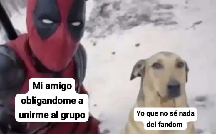 ◠   ࣪    𝗥𝗼𝗹𝗼 𖦹 𝖭𝖾𝗑𝗎𝗌  ◞ 
                  ⏜ 🖋️      𝗥𝗣 post