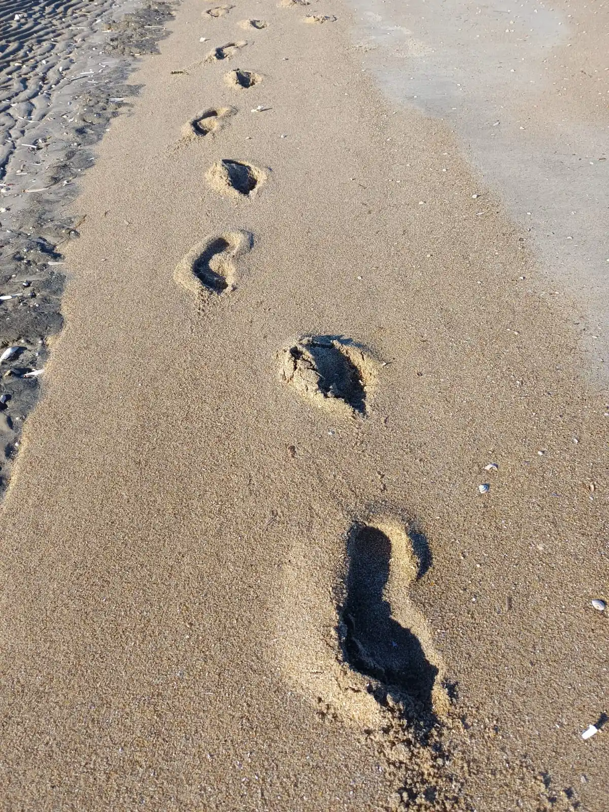 Rømø Strandsejlerskole 🇩🇰😊🇩🇪 post