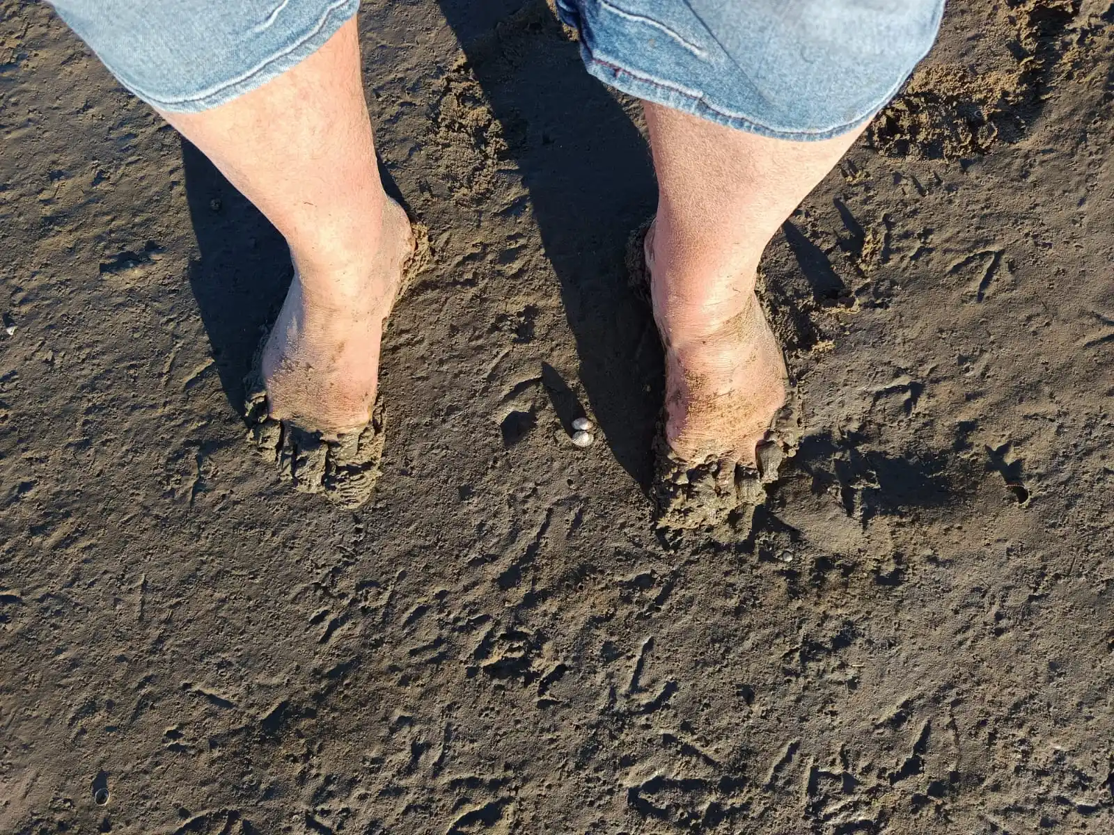 Rømø Strandsejlerskole 🇩🇰😊🇩🇪 post