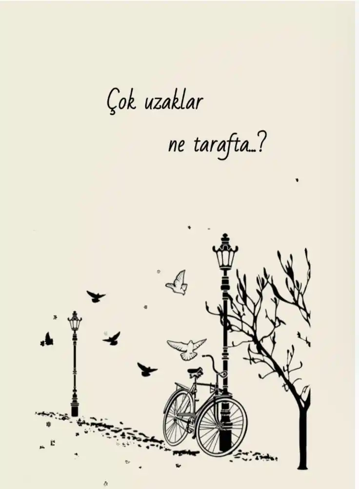 Ş İ İ R    S E V D A M post