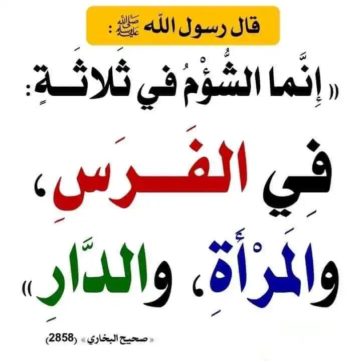 Safet H. Suljić post