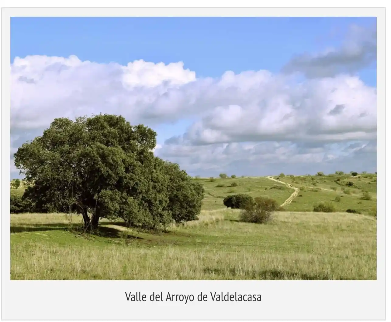 Salvemos Los Carriles post