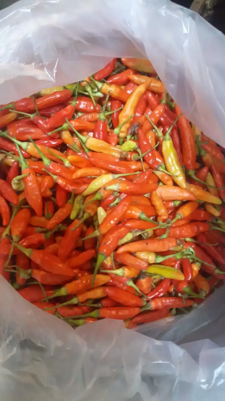 Sayur FRESH post
