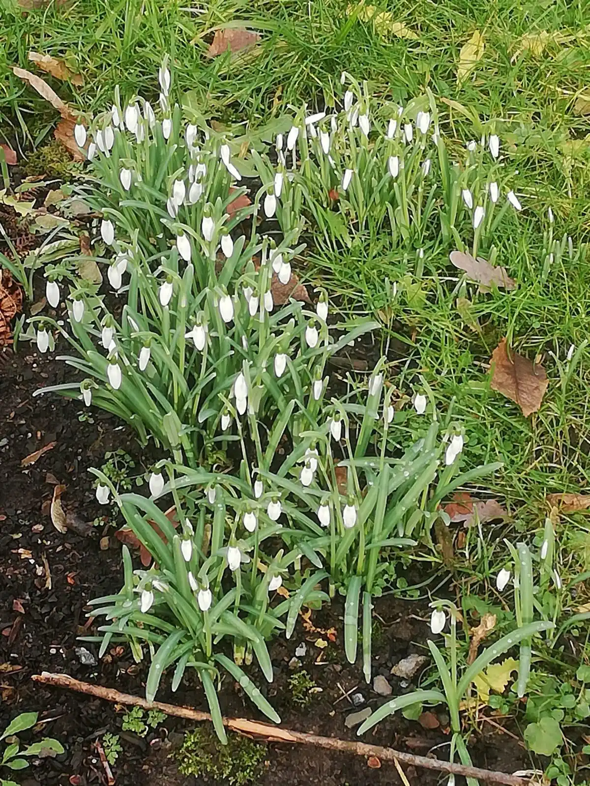 Schülerzeitung „Der Spickzettel“ 🗞️ post