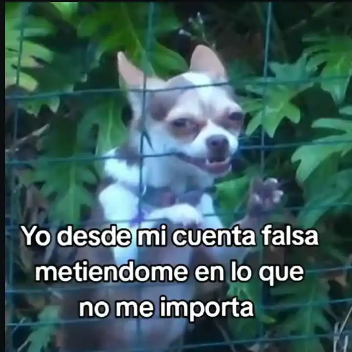 ✨🌊Sea🌊✨ post