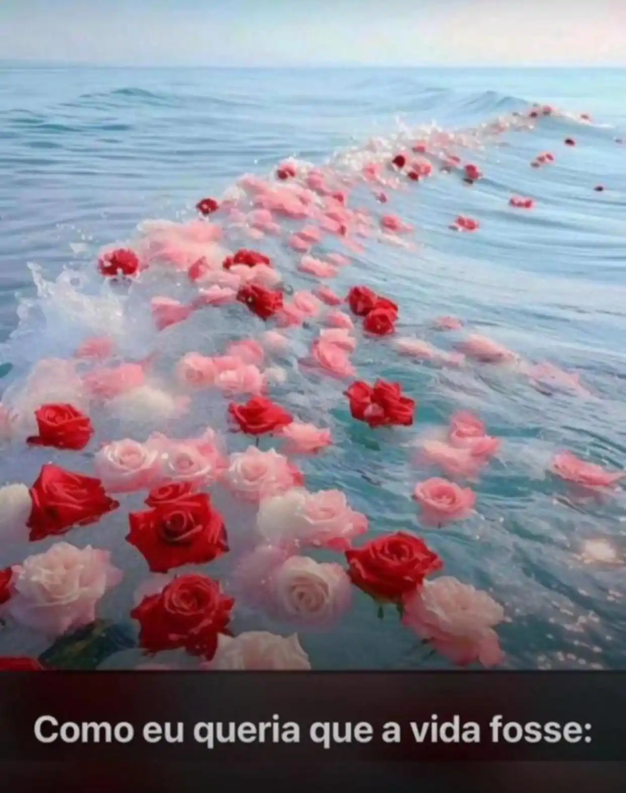 Sentimentos 🫀🫂 post