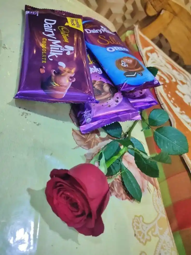 𝄄𝄄⃝༏༏꯭𝆺𝅥𝅦𝆺꯭𝅥𝆭💗꯭᭄𝆬શા͜યરી꯭͙ ꯭का꯭ ͕दरी͜या💗꯭᭄𝆬𝆺꯭𝅥𝅦𝆺𝅥𝆭༏༏⃝𝄄𝄄 post