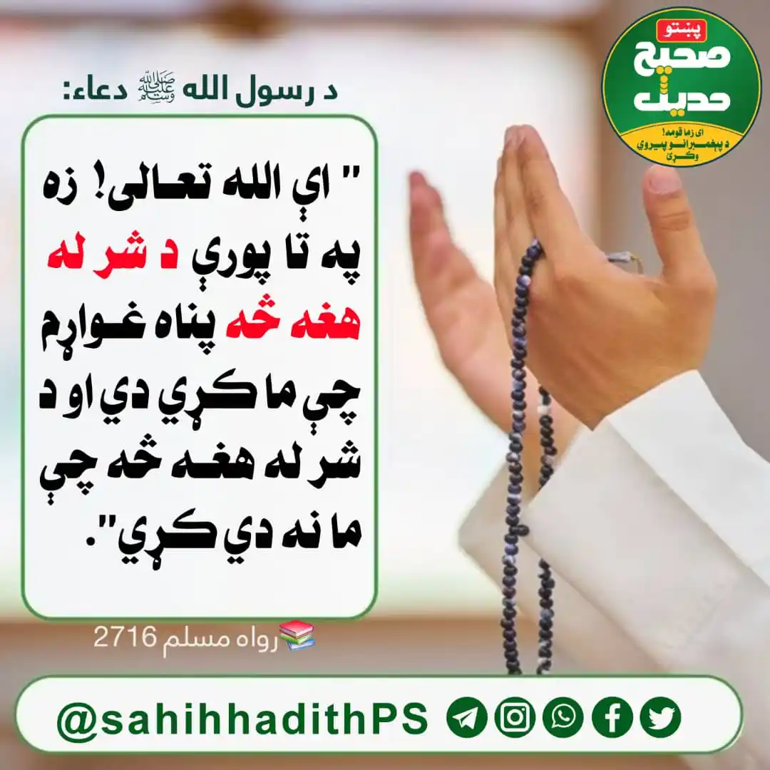 Image from صحیح حدیث پښتو: <a class="text-blue-500 hover:underline cursor-pointer" href="/hashtag...
